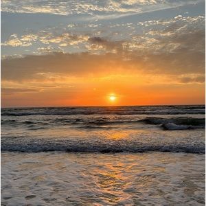 Meet your Posher, Rosie